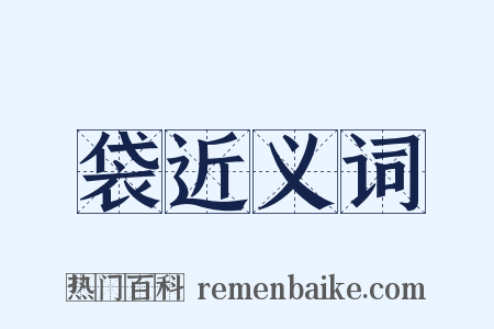 袋近义词是什么意思的图片